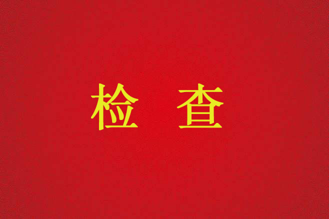 朱雀項(xiàng)目不動產(chǎn)登記中心發(fā)電機(jī)系統(tǒng)檢查
