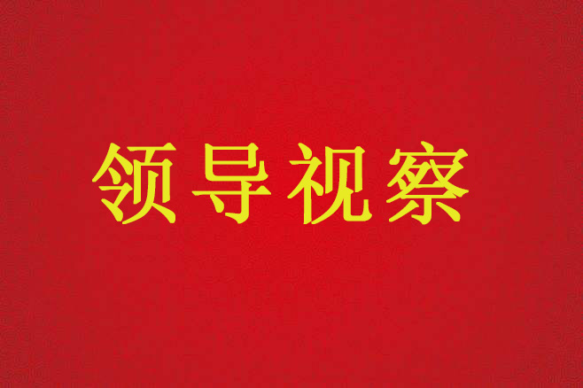 陜西省國(guó)土資源廳廳長(zhǎng)盧勇一行來(lái)不動(dòng)產(chǎn)登記服務(wù)中心調(diào)研、指導(dǎo)工作