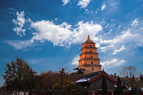 賞曲江美景，體驗(yàn)中國(guó)年