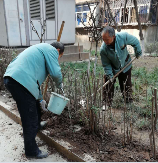  補(bǔ)栽花木，播種希望