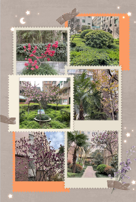 春景這邊獨好.......