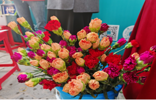 情暖女神節(jié)，物業(yè)送花香