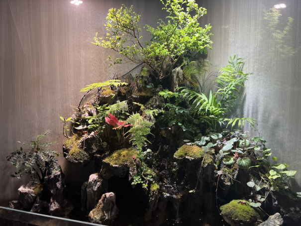 春暖花開，物業(yè)客服前臺綠植養(yǎng)護日記