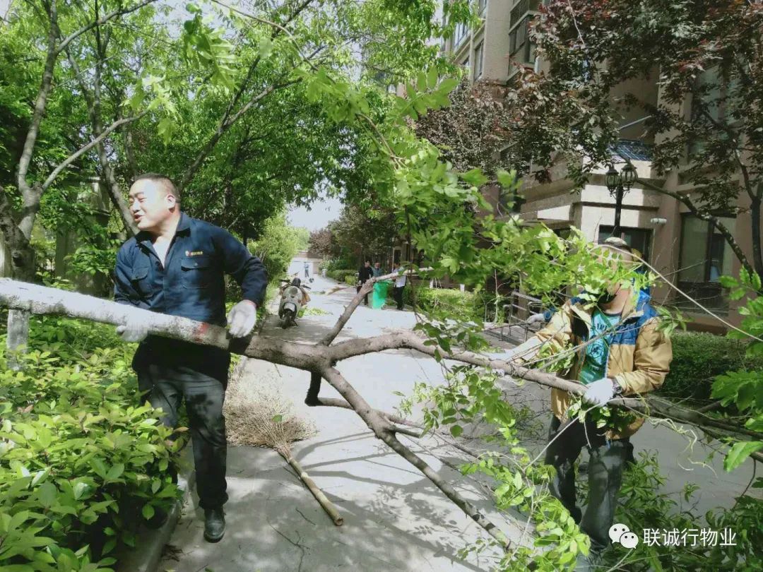 1592908559262961.jpg 20-5.jpg