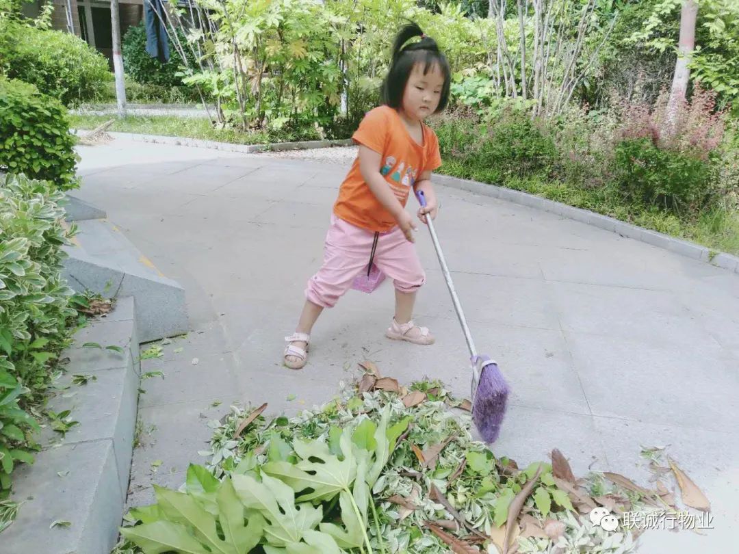 1592908581516193.jpg 20-6.jpg