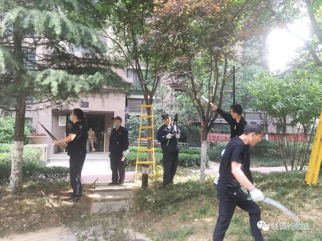 1592912456586959.jpg 29-5.jpg