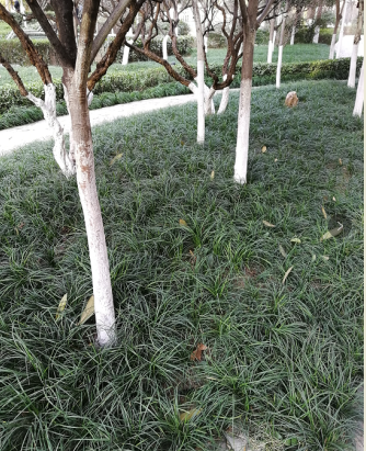 1594694818776904.png 圖片4.png