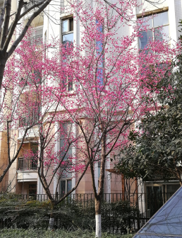 1594694841320247.png 圖片3.png