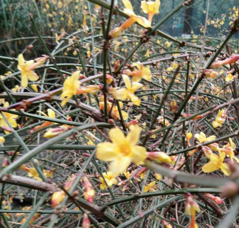 1594895575614329.png 圖片6.png