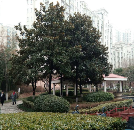 1594895615173571.png 圖片7.png