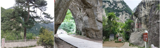 1594980730403610.png 圖片3.png