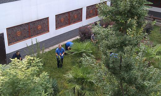 夏日除草熱情高，綠草如茵美如畫