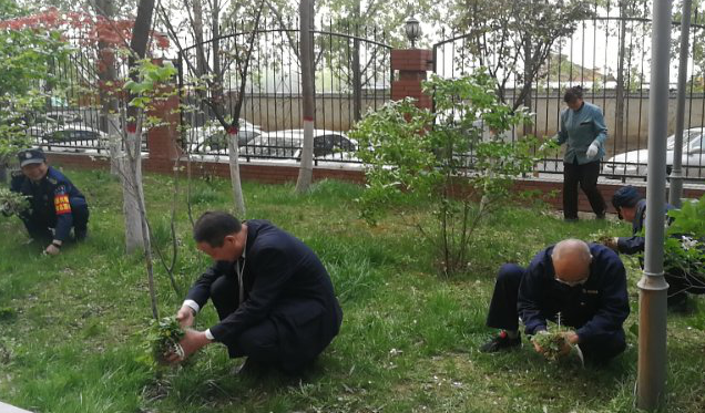 1595228175489236.png 圖片28.png