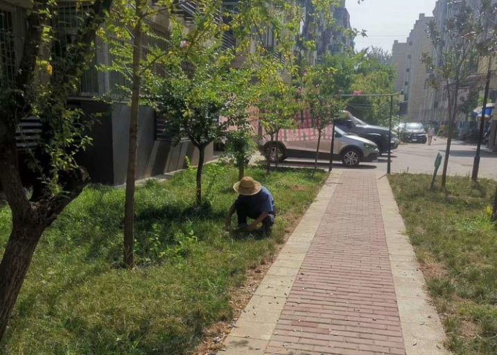 1660905734969639.png image.png