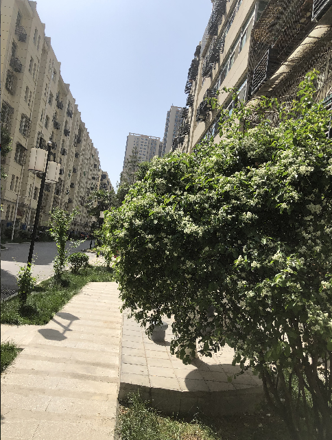 1662693031334933.png image.png