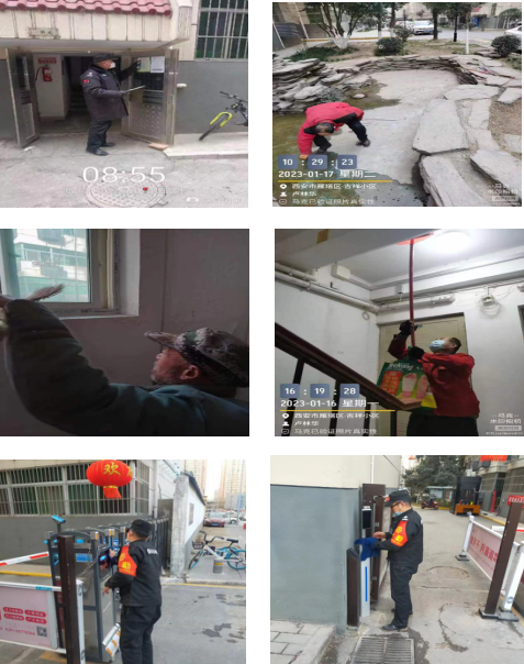 瑞兔守吉祥，平安過大年