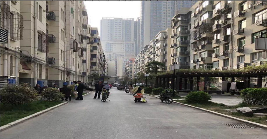 不負春光  抬頭向前