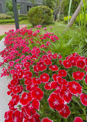 1683339974820417.png image.png