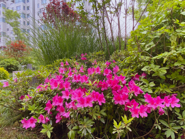 1683340011676170.png image.png