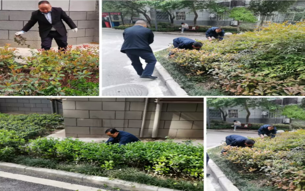 1685064584252320.png image.png