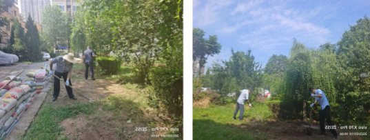 1691045113910581.png image.png