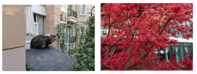 1702978539418239.png 1702978539418239.png