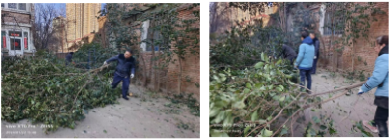 修剪樹(shù)枝除隱患  美化環(huán)境保安全