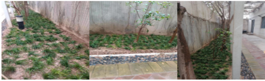 1711959349496498.png image.png