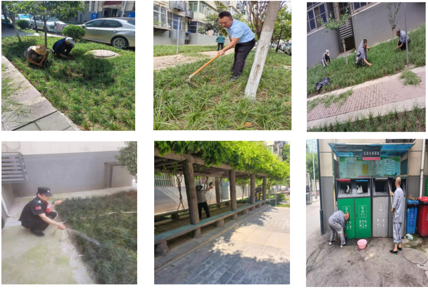 吉祥小區(qū)6月工作紀(jì)實(shí)