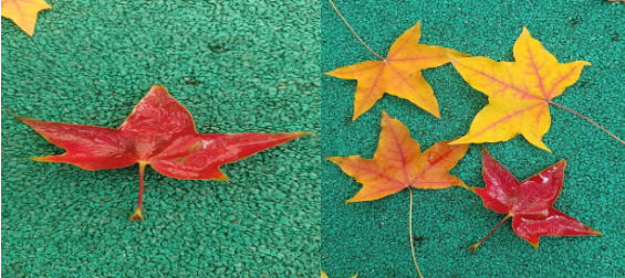 1732178047771937.png image.png