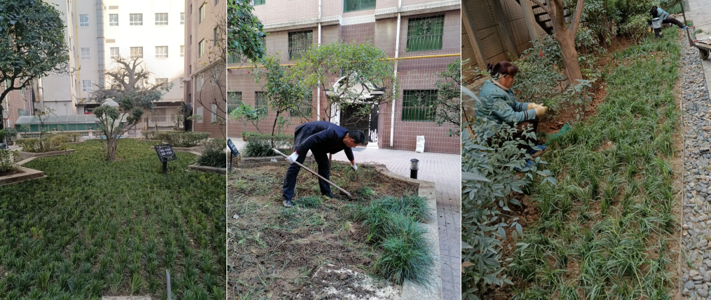 1734571384981638.png image.png