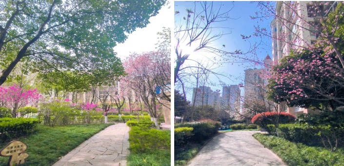 1745571883145612.jpg 1745571871811.jpg