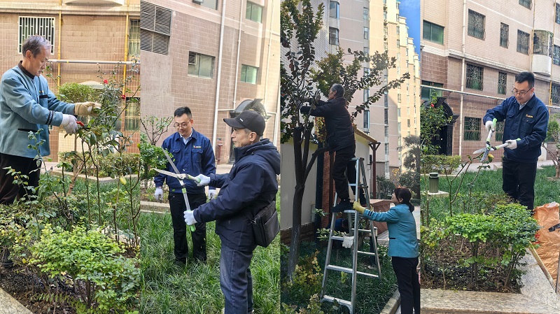 1764396259214986.jpg 圖片1.jpg